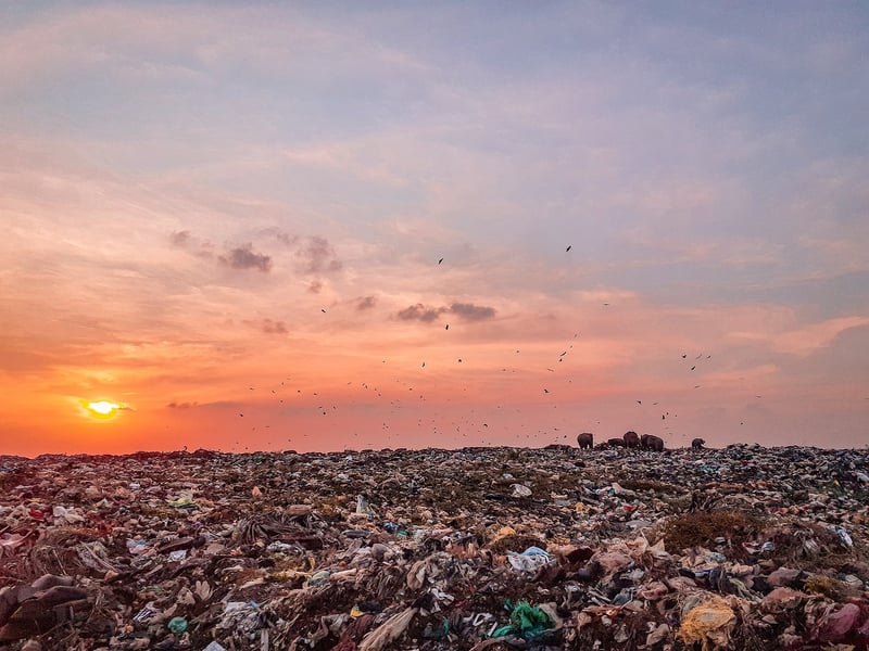 Food Waste Reduction